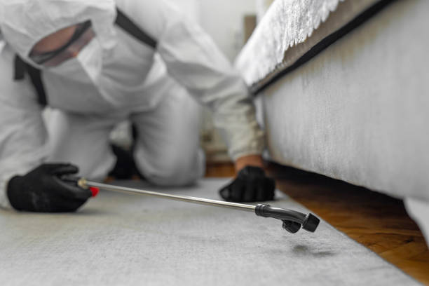 Professional Bed Bug Control technician working in Woodville, CA